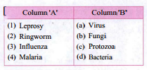 Match the columns: