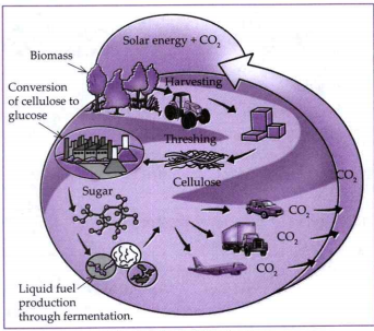 Observed the following diagram and answer the questions.      Solar energy + CO2 contributes to which process?