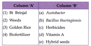 Match the columns :