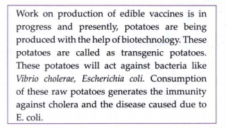 Read the given paragraph and answer the questions:      Edible Vaccines are taken in which form of food?