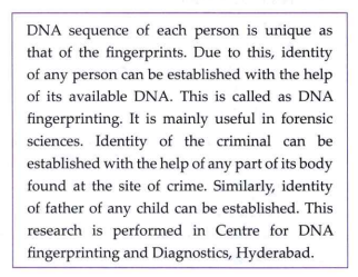 What is DNA fingerprinting?