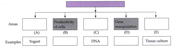 Complete the following tree diagram based on main areas of biotechnology.