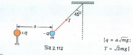 একটি পেন্ডুলামের ক্ষুদ্র পিন্ডের ভর m ও আধান -q | সাম্যবস্থায় পেন্ডুলামটি উল্লম্বের  সঙ্গে 45° কোণ করে এবং অপর একটি ক্ষুদ্র আধান q থেকে a দুরত্বে থাকে [ চিত্র 2.112]| a এবং m -এর নিরিখে q  -এর মান নির্ণয় করো| m ও g -এর নিরিখে সুতোর টান নির্ণয় করো| [সমস্ত মান CGS এককে প্রদত্ত]