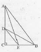 triangleABC ಯಲ್ಲಿ C 90^@  D  ಮತ್ತು  E  ಗಳು  ಕ್ರಮವಾಗಿ CA  ಮತ್ತು CB  ಗಳ  ಮೇಲಿನ ಬಿಂದುಗಳು ಆದರೆ.AE^2 + BD^2 = AB^2 + DE^2.