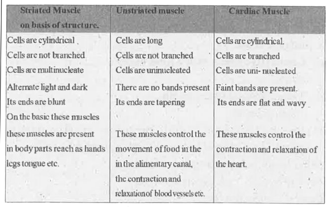 ocr_image