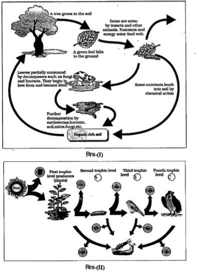 चित्र-I में ........ को प्रदर्शित करता है ?