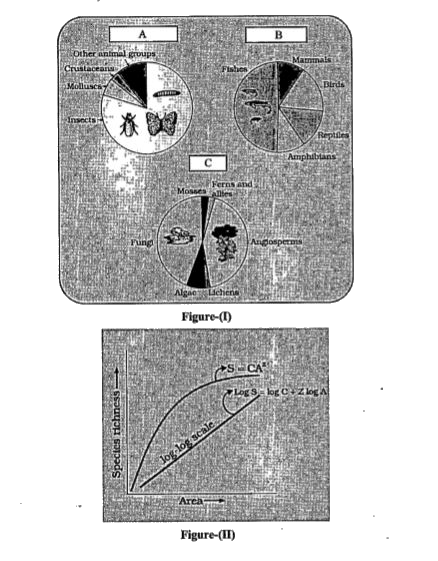 चित्र-I, में वैश्विक जैवविविधता विभिन्न समूहों को प्रदर्शित करती है, इनमें से A, B तथा C को पहचानिये