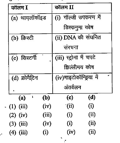 कॉलमों के बीच मिलान कीजिए और सही विकल्प चुनिए