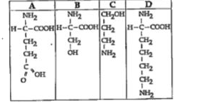 नीचे A से D में दिये जा रहे संरचनात्मक सूत्रों में से वह कौन सा एक सूत्र है जिसमें क्षारीय ऐमीनों अम्ल को सही प्रतिदर्शित किया गया है