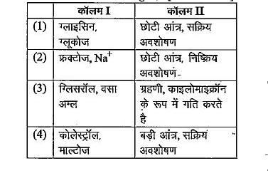 कॉलम-I में दिये गए मानवों में पाचन उत्पादों को कॉलम-II में दिए गए अवशोषण स्थल एवं अवशोषण-प्रणाली के सही मिलान को चुनिए।