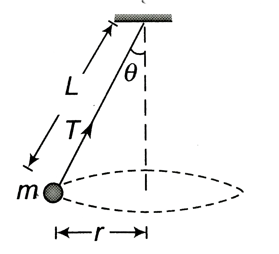 A paricle of mass m is tied to a light string of length L and moving in a horizontal circle of radius r with speed v as shown. The forces acting on the particle are