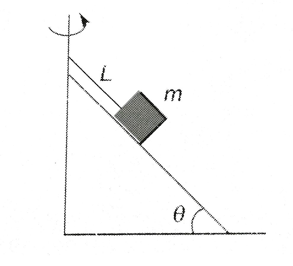 A small block of mass m is tied to the top of a smooth inclined plane with the help of a string of length L as shown in the figure. The inclined plane of inclination theta with horizontal is rotated with an angular velocity omega about a verticle axis passing through the end of the string fixed to the plane.   (a) Find the maximum value of omega so that the block maintains contact with the inclined plane.   (b) Find the ratio of the tension in the string and the normal reaction between the block and the plane.