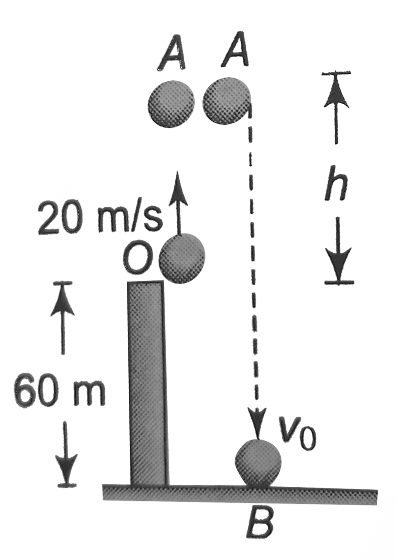 A ball is thrown vertically upward with velocity 20 m//s from a tower