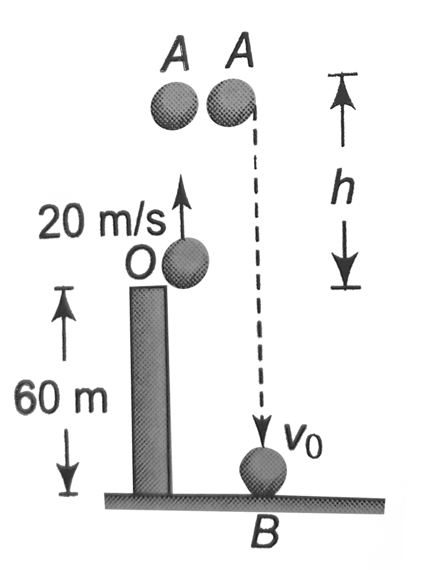 A Ball Is Thrown Vertically Upward With Velocity 20 M s From A Tower