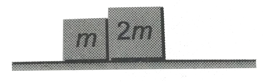 Two blocks of masses m and 2m are placed on a smooth horizontal surface as shown in the figure. Find the acceleration of each block and normal reaction between two blocks if a horizontal force F(0) is applied on (a) m and (b) 2m