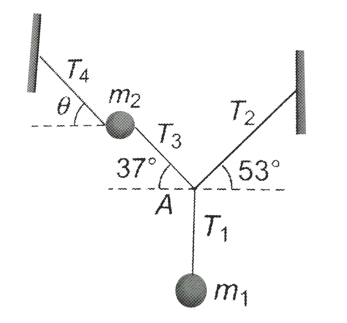 Two masses m(1) and m(2) are attached with light strings as shown. If the system is in equilibrium, find the value of theta