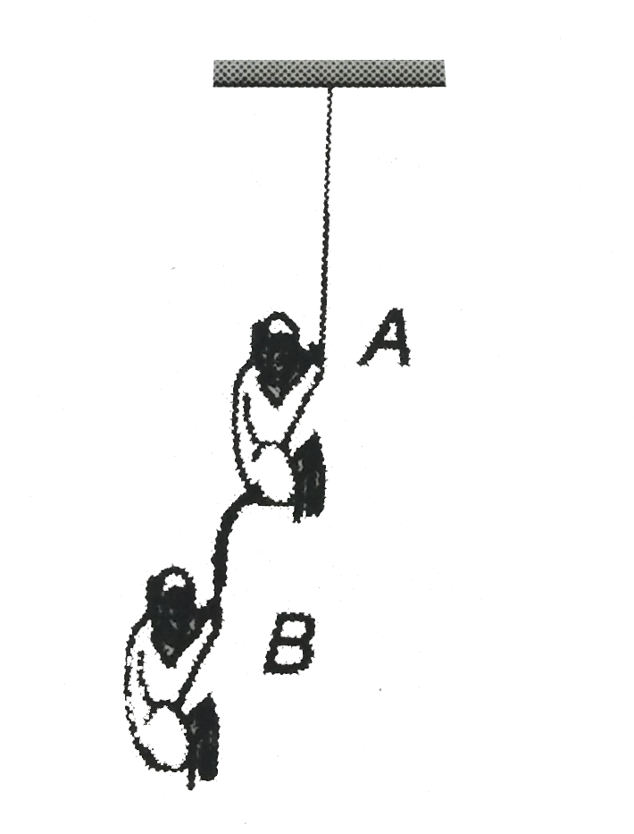 The monkey B shown in the figure is holding on the tail of the monkey. A which is climbing up a rope. The masses of the monkeys A and B are 40kg and 20kg, respectively. If A can tolerate a tension of 300N in its fail, what force should it apply on the rope in order to carry the monkey B with it?