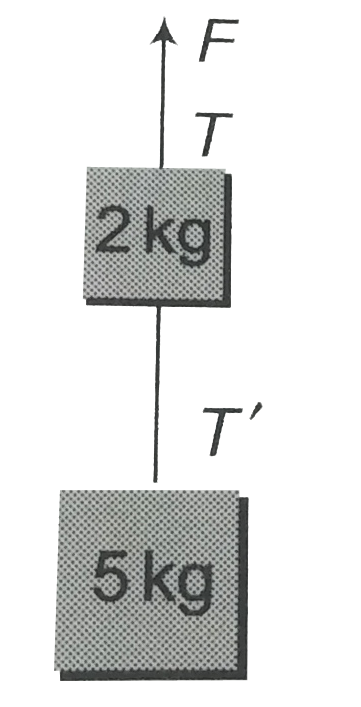 Two blocks are connected by a string as shown in the diagram. The upper block is hung by another string. A force F applied on the upper string produces an acceleration of 2m//s^(2)  in the upward direction in both the blocks . If T and T' be the tensions in the two parts of the string, then