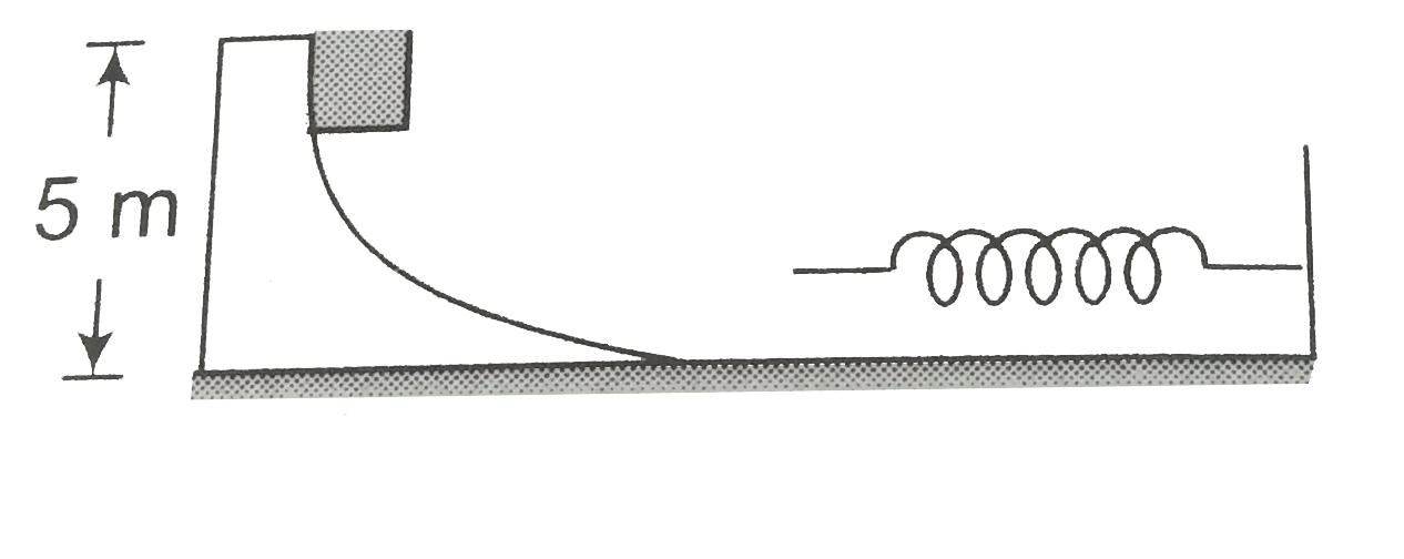 The figure shows a smooth curved track terminating in a smooth horizontal part. A spring of spring constant 400(N)//(m) is attached at one end to a wedge fixed rigidly with the horizontal part . A 40 g mass is released from rest at a height of 5 m on the curved track. The maximum compression of the spring will be