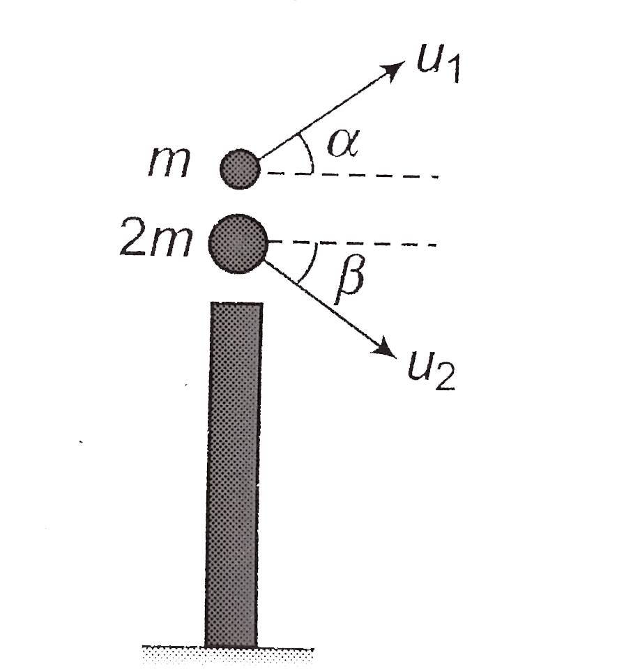Two balls are thrown simultaneously from top of tower in air as shown in the figure.   (i) The acceleration of the center of mass of two balls while in air is equal to g.   (ii) The path followed by the center of mass is parabola.   (iii) The path followed by the center of mass will change if one ball after striking the ground comes to rest.