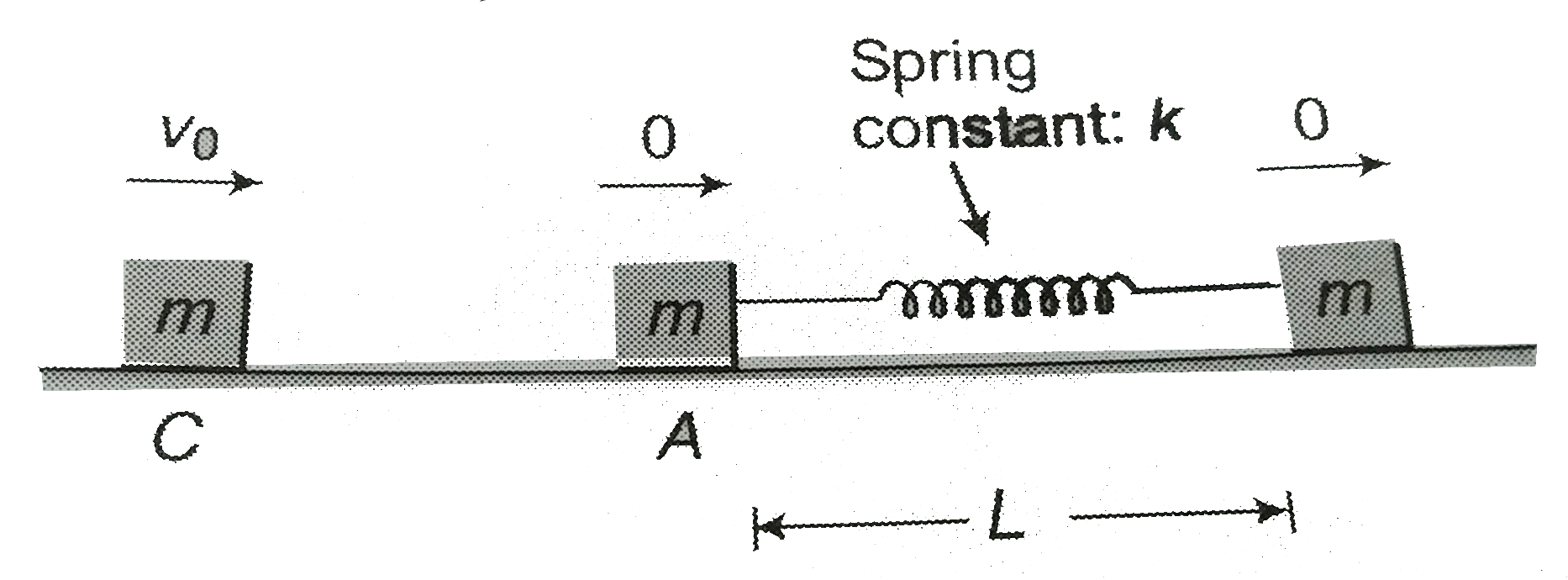 Two blocks A and B of masses m and 2m are connected by a massless spring of natural length L and spring constant k. The blocks are intially resting on a smooth horizontal floor with the spring at its natural length , as shown . A third identical block C of mass m moves on the floor with a speed v(0) along the line joining A and B and collides elastically with A. FInd (a) the velocity of c.m. of system (block A + B + spri ng) and (b) the minimum compression of spring.