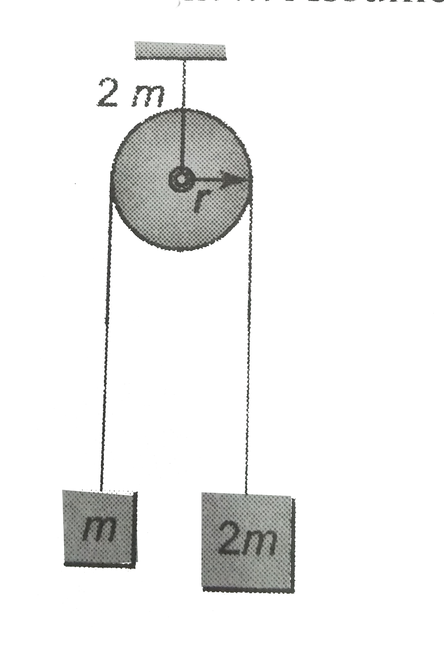 Two blocks of masses 2m and m are connected by a light string going over a pulley of mass 2m and radius R as shown in the figure. The system is released from rest. Find the angular momentum of system when the mass 2m has descended through a height h. Assume no slipping.