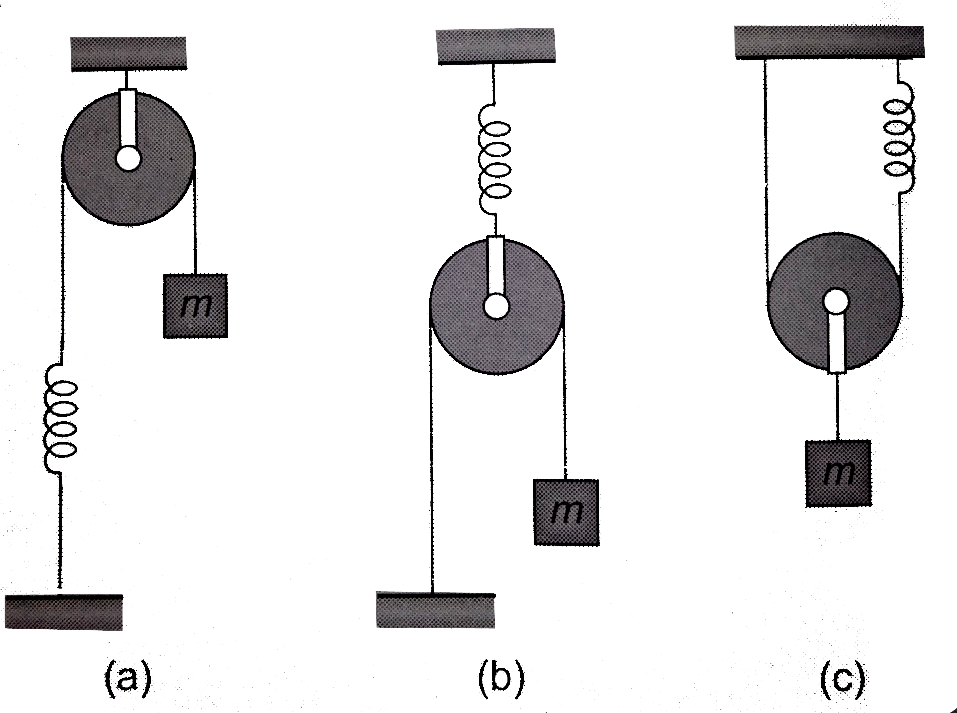 In the following arrangements, bock is slightly displaced vertically down from its equilibrium position and released. Find time period of vertical oscillations. The pulley is light.
