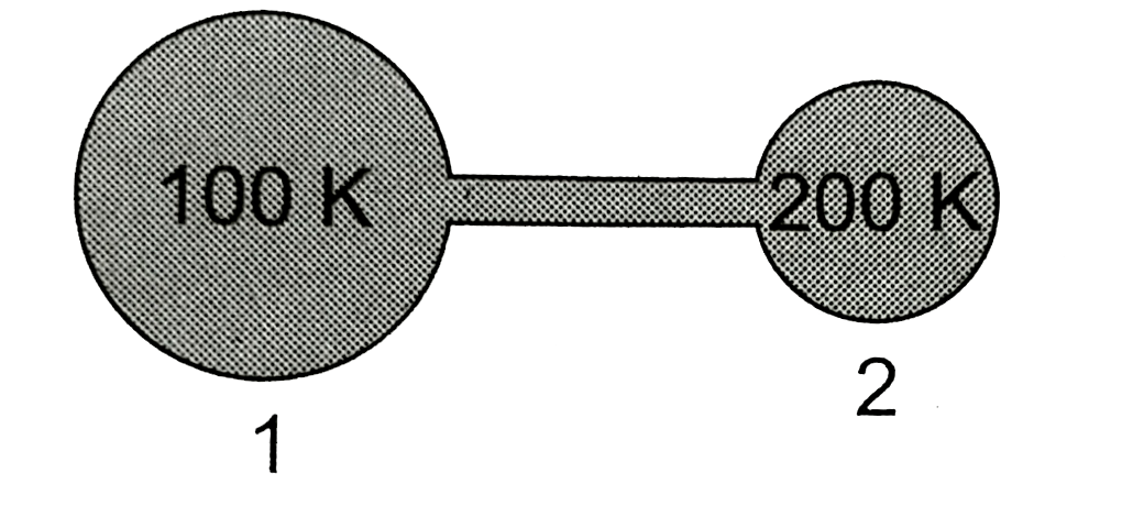 Figure shows two flasks connected to each other. The volume of the flask 1 is twice that of flask 2. The system is filled with an ideal gas at temperature 100 K and 200 K respectively. If the mass of the gas in 1 be m then what is the mass of the gas in flask 2