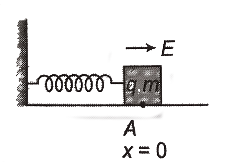 A block of mass m having charge q is attached to a spring of spring constant k. This arrangement is placed in uniform electric field E on smooth horizontal surface as shown in the figure. Initially spring in unstretched. Find the extension of spring in equilibrium position and maximum extension of spring.