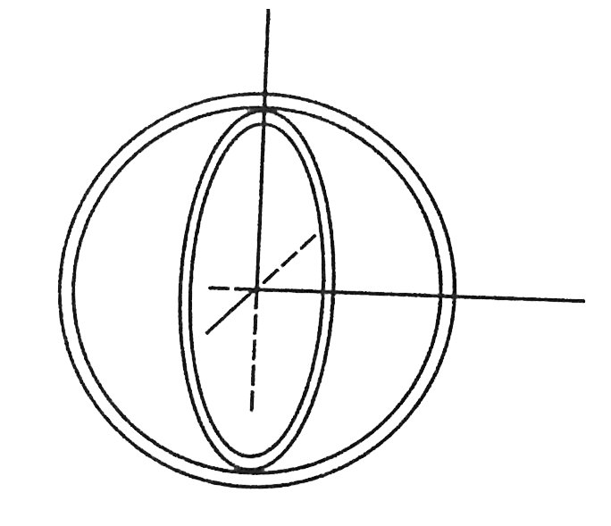 Two insulated rings, one of a slighlty smaller diameter than the other are suspended along their common diameter as shown. Initially the planes of the rings are mutually perpendicular. When a steady current is set up each of them