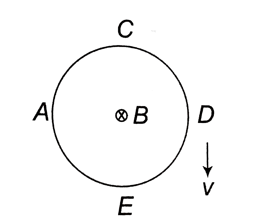 A vertical conduction ring of radius R falls vertically in a horizontal magnetic field of magnitude B with constant speed v . The direction of B is perpendicular to the plane of the ring. When the speed of the ring is v , (i) A and D are at different potential   (ii) A and D are at the same  potential   (iii) C and E are at the same  potential   (iv) The potential difference between A and D is 2BRv , with D a higher potential