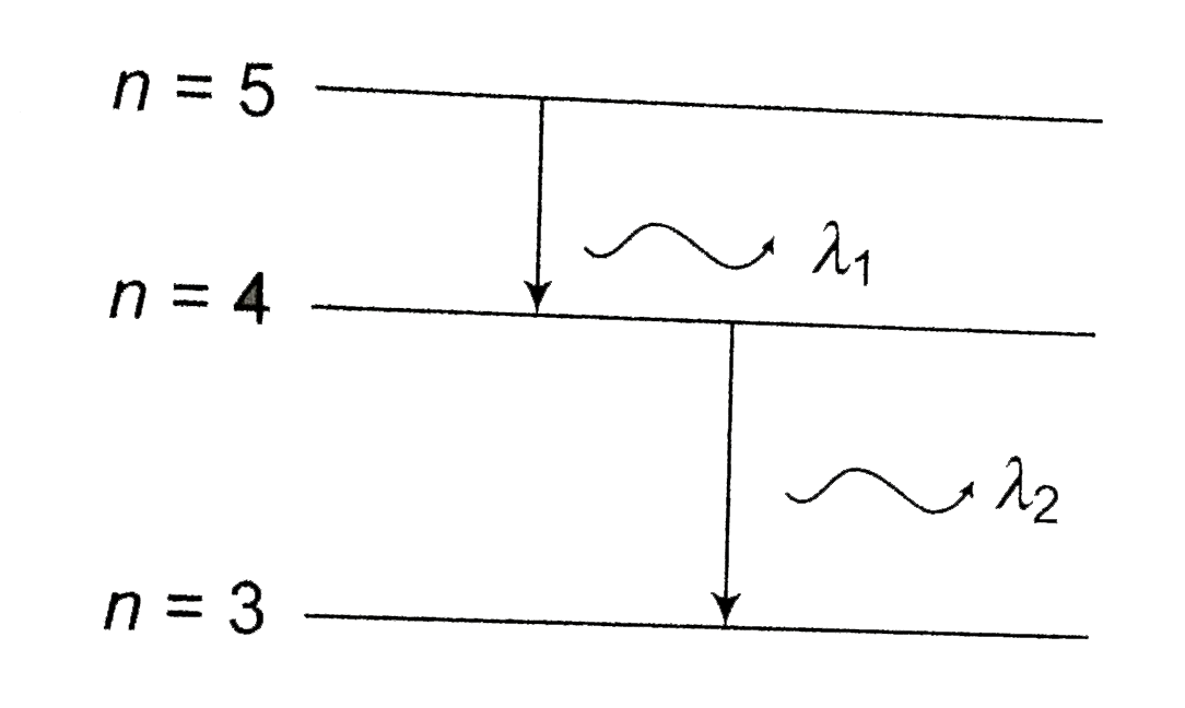 Electron In A Hydrogen Like Atom Z 3 Make Transition From The Fort