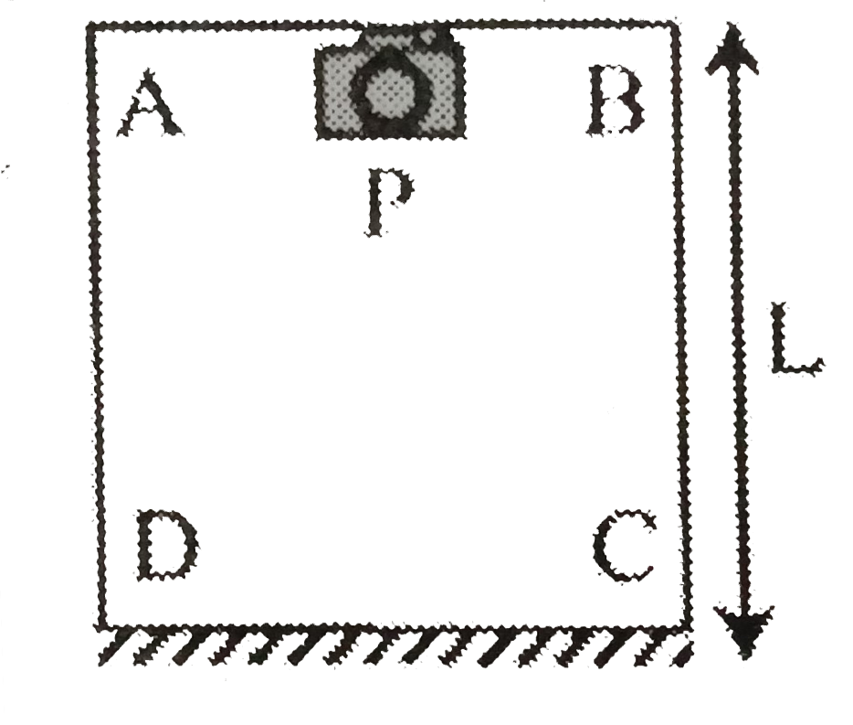 Adjoining figure shows cubical room ABCD, with the wall CD as a plane mirror. Each side of the room is L metres in length. A camera P is placed at the mid-point of the wall AB. At what distance should the camera be focused to photograph and object placed at A ?