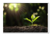 The Relation between the height of the plant (y in cm) with respect to exposure to sunlight is governed by the following equation y=4x-1/2x^(2) where x is the numberof days exposed to sunlight.   What is the number of days it will take for the plant to grow to the maximum height?