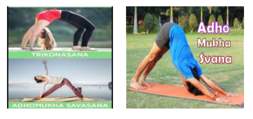 An asana is a body posture, originally and still a general term for a