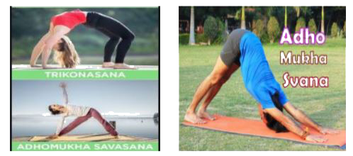 An asana is a body posture, originally and still a general term for a sitting meditation pose, and later extended in hatha yoga and modern yoga as exercise, to any type of pose or position, adding reclining, standing, inverted, twisting, and balancing poses. In the figure, one can observe that poses can be related to representation of quadratic polynomial.      The zeroes of the quadratic polynomial 4sqrt3x^(2)+5x -2sqrt3  are