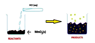 The reaction between MnO2  with HCl is depicted in the following diagram. It was observed that a gas with bleaching abilities was released      In the above discussed reaction, what is the nature of MnO2
