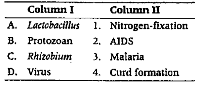 Match the organisms in Column I with their actions in Column II.      The correct matching is Codes