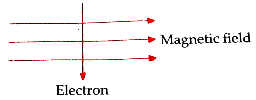 An electron enters a magentic  field  at right  angle to the  field  direction .    (a) State the rule  to find  the  direction  of force  acting  on the electron.   (b) What  will be  the direction  of force acting  on the  electrons  in the above  case ?