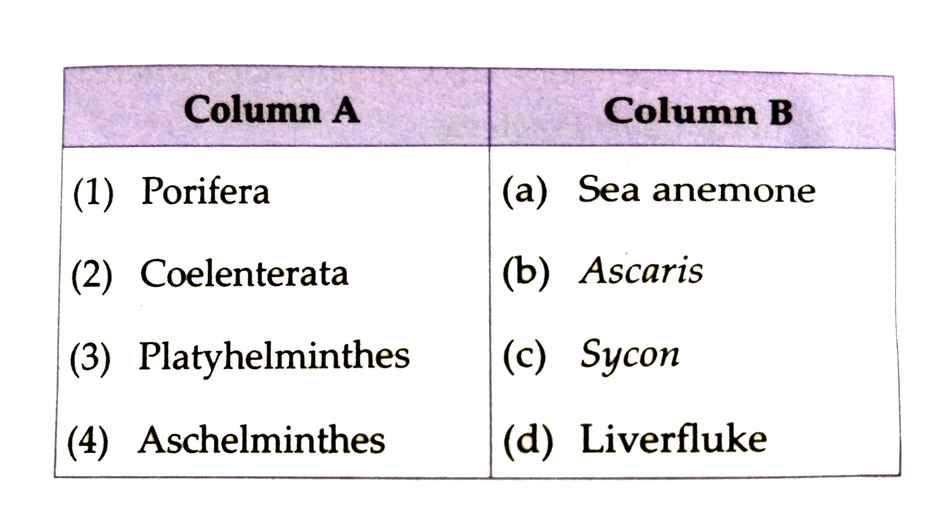 Match the following