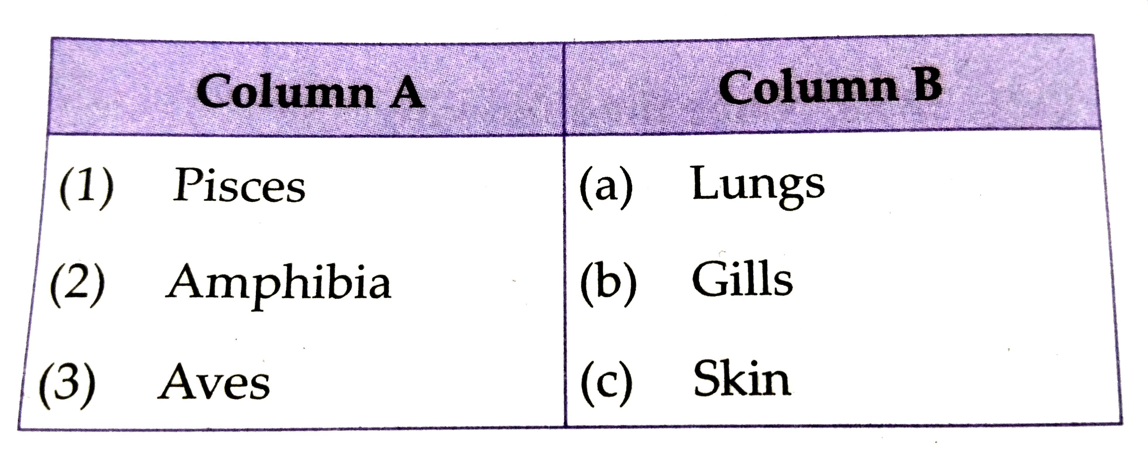 Match the following