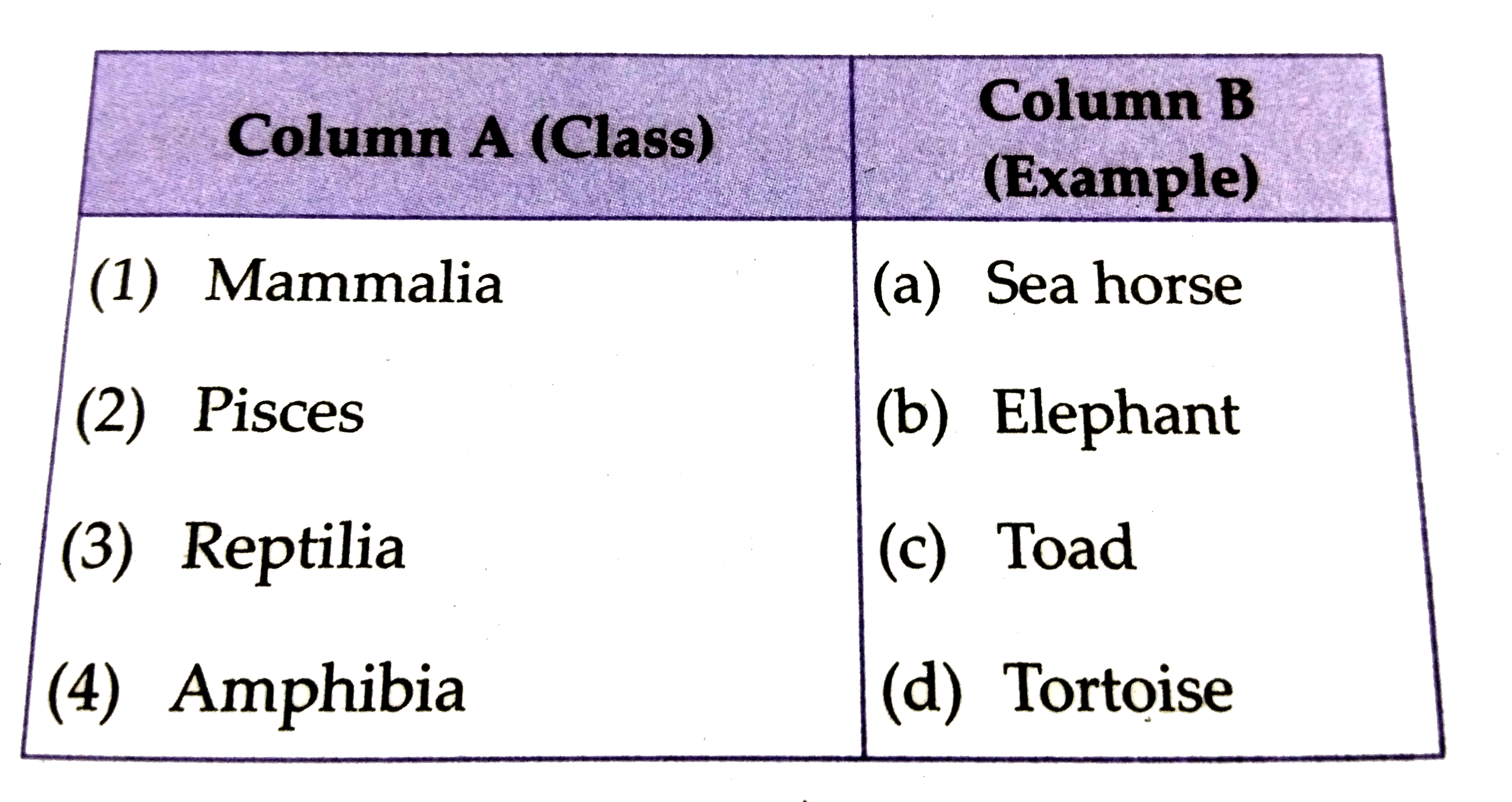 Match the following