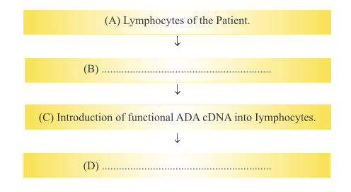 The clinical gene therapy is given to a 4 years old patient for a enzyme which is curcial for the immune system to function.Observe the therpeutical flow chat and give the answer of the following: (a) Complete the mising step(B) and (D).