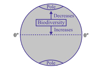 Study the diagram of the earth given below. Give the name of the pattern of biodiversity therein. Suggest any two reasons for this type of occurrence.