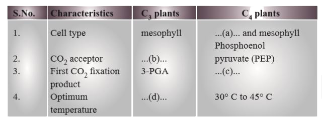 Fill in the space, left blank in the given table to bring the difference between C3 and C4  plants :