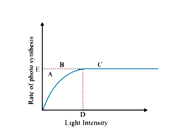 The figure shows the effect of light on the rate of photosynthesis. Based on the graph, answer the following questions :    What do region C and D represent on the curve ?