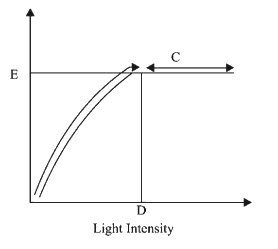 Figure given below shows the effect of light on the role of photosynthesis. Based on graph      At which point/points (A,B or C) in the curve light is a limiting fac- tor?