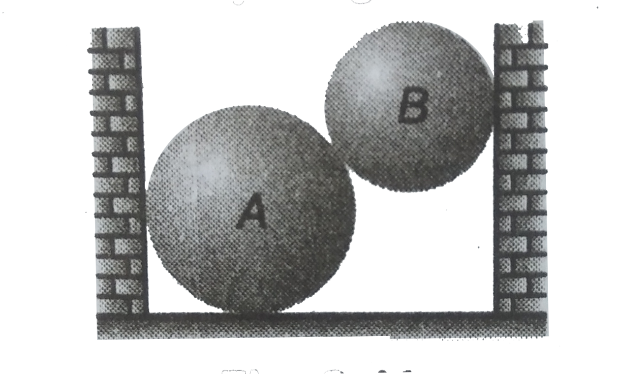 Two spheres A and B are placed between two vartical walls as shown in figure .Friction is absent everywhere. Draw the free body diagrame of both the spheres.