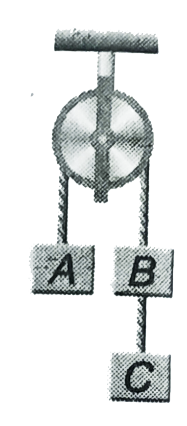 Three equal weight A,B and C of mass 2kg each are hanging on a string passing over a fixed frictionless pulley as shown in the figure. The tension in the string connecting weights B and C is approximately