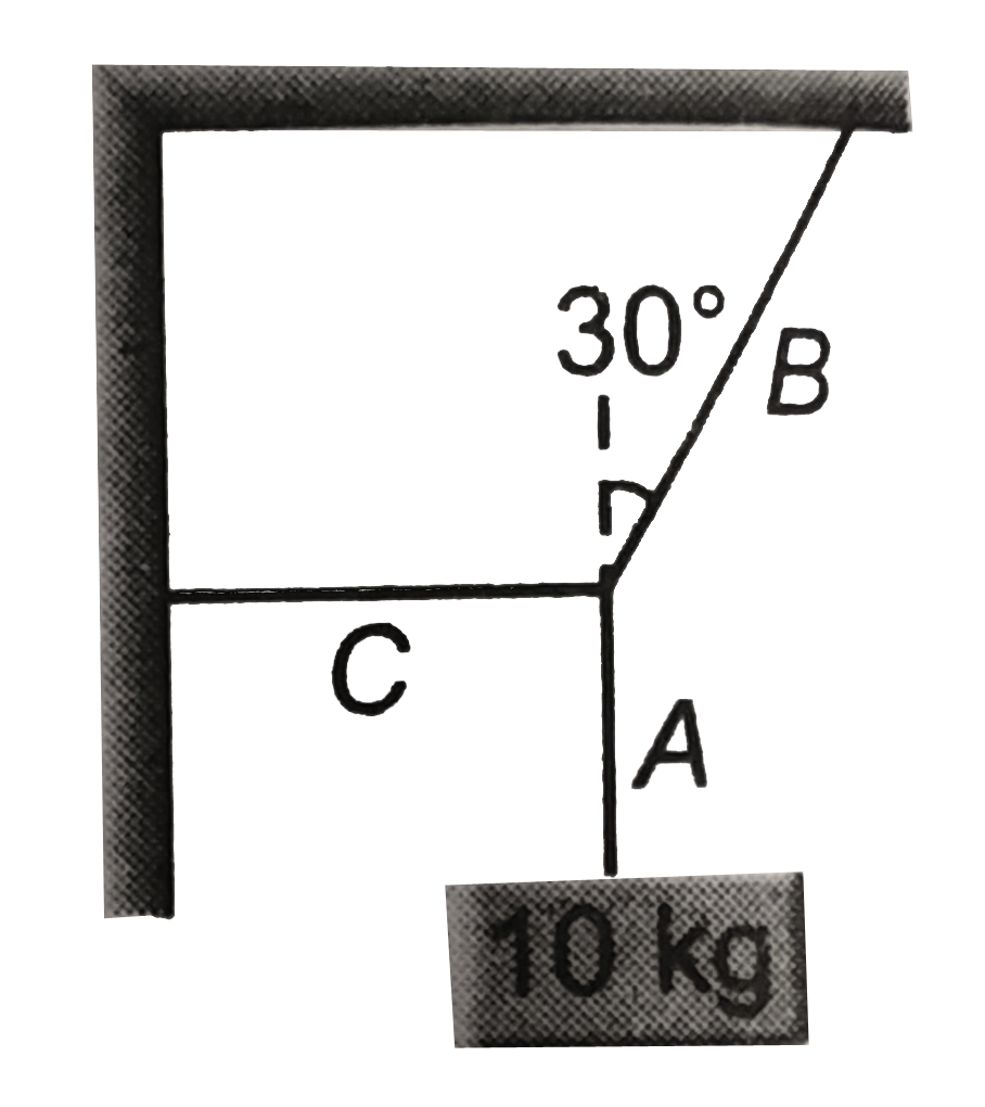 In the figure a block of mass 10kg is in equilibrium. Identify the string in which the tension is zero
